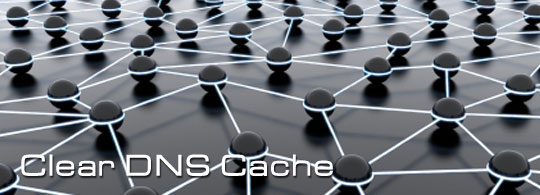 Flush DNS