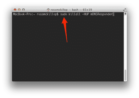 Flush DNS in Mac